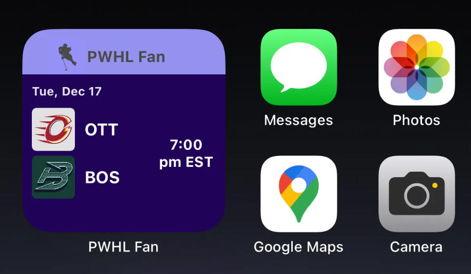 iOS Widget Example